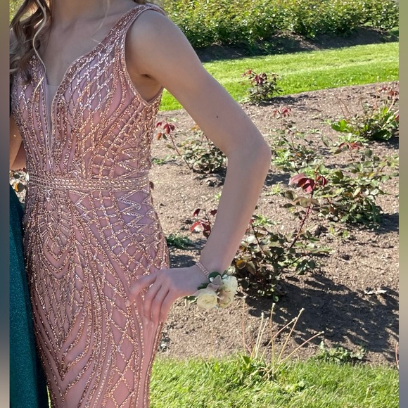 Cinderella Divine Prom Dress - Picture 3 of 3